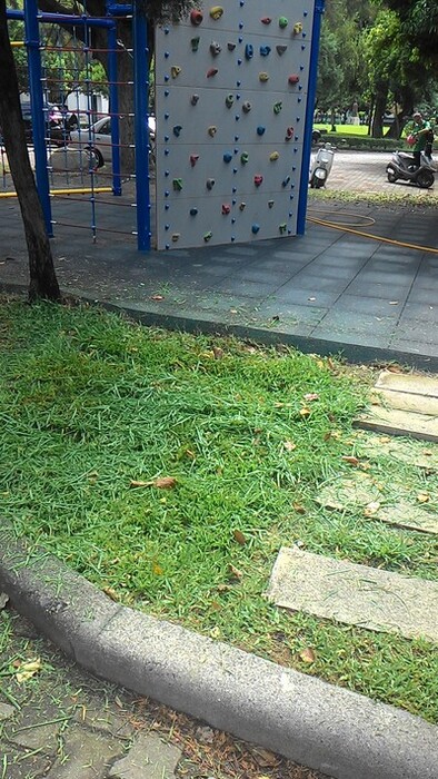 1040729校園環境維護(除草、噴藥)