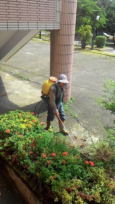 1040729校園環境維護(除草、噴藥)