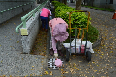 全校排水溝灑鹽撲滅蚊子幼蟲